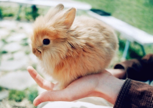 痛到快不能呼吸的傷感說說帶圖片 感到心情低落時(shí)發(fā)的說說3