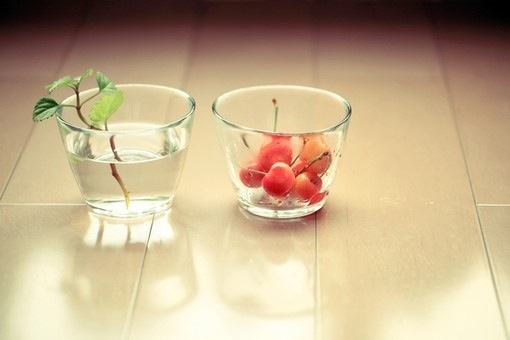 適合心情不好沮喪時看的勵志正能量說說帶圖片 應該更積極地想辦法而不是努力地找退路8