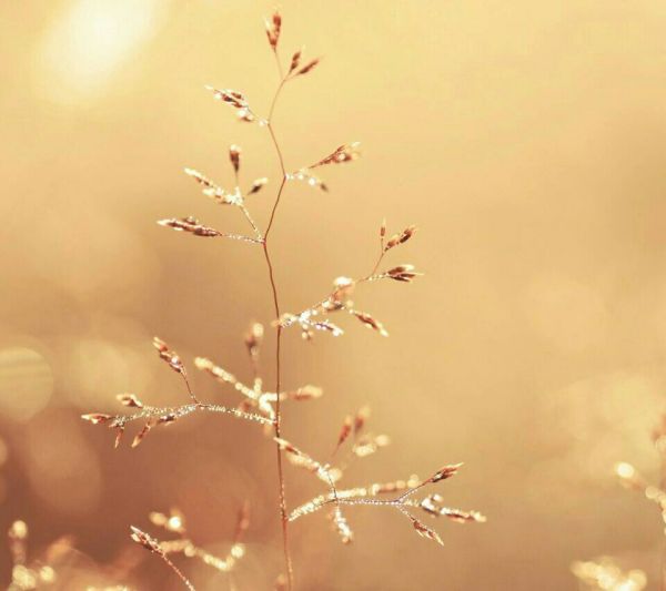 超唯美的經(jīng)典人生感悟說說帶圖片 都說人生如戲11