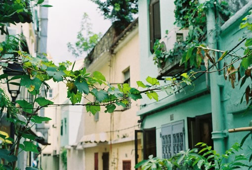 關(guān)于人生哲理和現(xiàn)實經(jīng)歷的一句話簡單精辟的說說帶圖片1