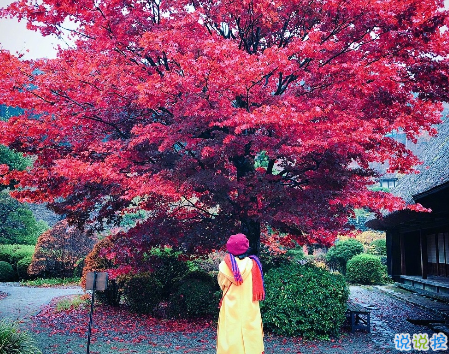 女生傷感說說好聽心碎帶圖片 淚流成河的戳心傷感說說配圖14