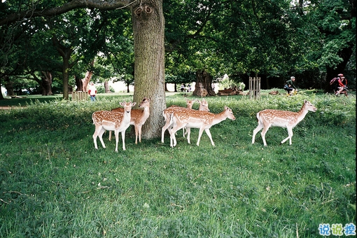 2018再見2019你好勵志說說致自己帶圖片 送給自己的2019說說超勵志4