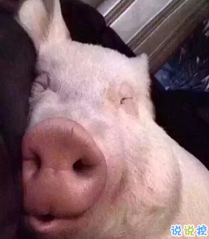 笑死人的搞笑說(shuō)說(shuō)超好玩：你以為有錢真的會(huì)快樂(lè)嗎13