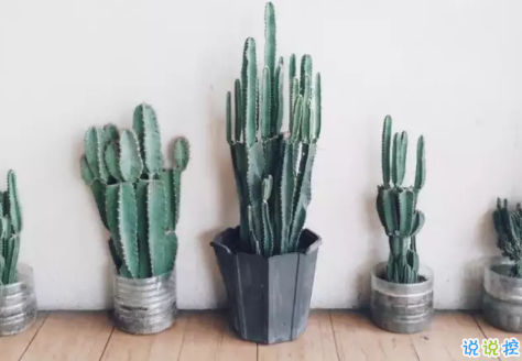 ?告別八月迎接九月的正能量早安說說 朋友圈九月早安心語說說20181