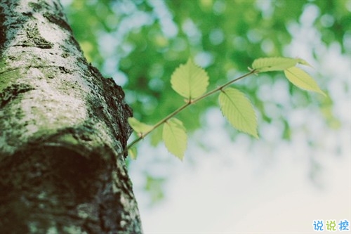 最新微信唯美說說大全女生專屬 女生都愛的文藝小清新心情說說2