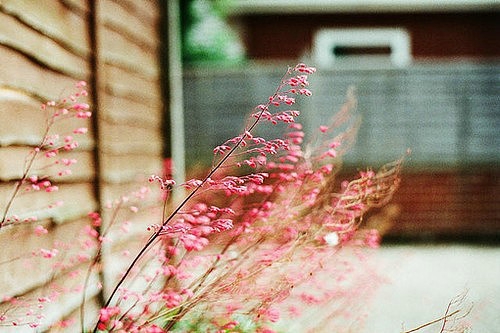 一個人感到孤獨寂寞時發(fā)的說說帶圖片 一個人只要學(xué)會了回憶就再不會孤獨2