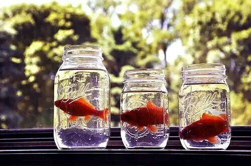 關(guān)于青春和成長(zhǎng)的適合文藝女生發(fā)說說的句子帶圖片14