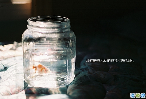 文字控偏愛的簡單文藝圖片句子 往后余生風(fēng)雪是你平淡是你6