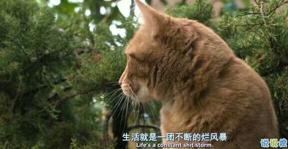 微信勵志說說圖片帶字：有時間絕望，還不如去吃美食然后睡個覺1