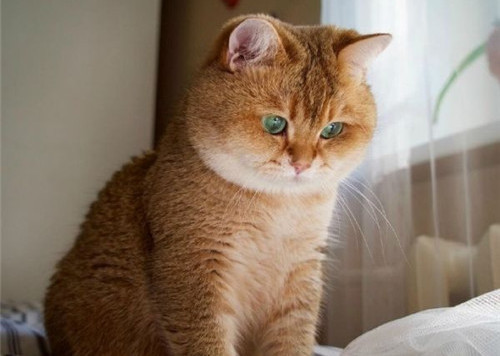 可以戳中中你笑點的搞笑說說帶圖片7