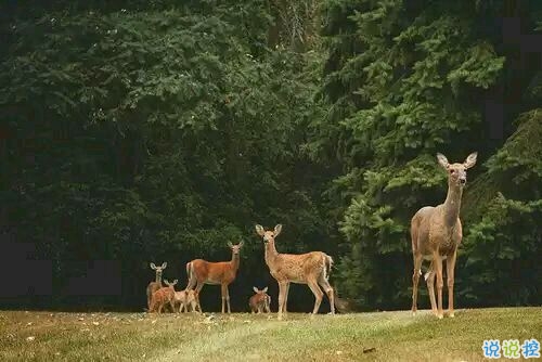 突然不喜歡一個(gè)人/放棄一個(gè)人是一種什么樣的感受？8