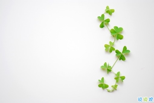 春天唯美說說心情短語 微信一句話唯美說說大全1