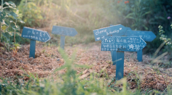 人生旅途中鼓舞你的很勵志的正能量說說帶圖片13