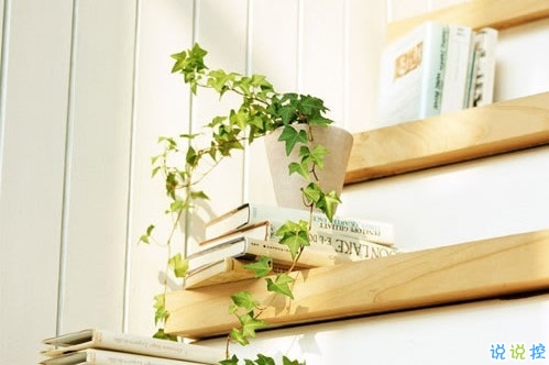 彌漫著淡淡傷感的句子關(guān)于成長(zhǎng)和愛情 2018關(guān)于成長(zhǎng)和愛情的傷感句子2