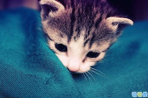 看透愛(ài)情的悲傷說(shuō)說(shuō)心痛分手帶圖片 開(kāi)始很感動(dòng)過(guò)程很精彩結(jié)局不想說(shuō)14