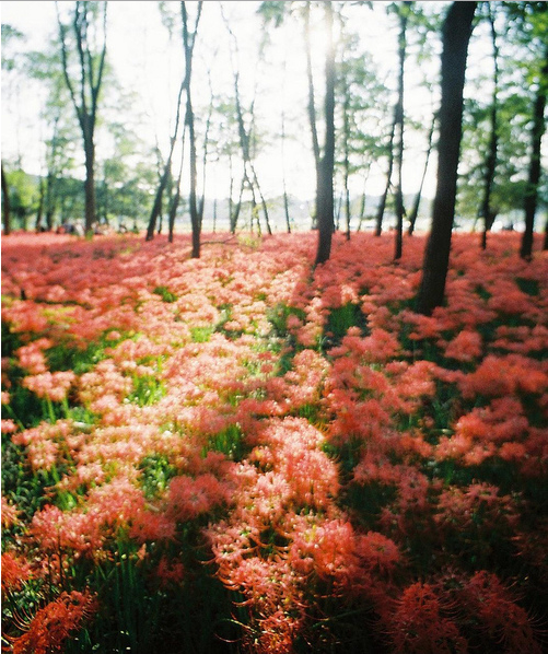 人在途中慢慢成長(zhǎng)學(xué)會(huì)長(zhǎng)大的經(jīng)典哲理句子2