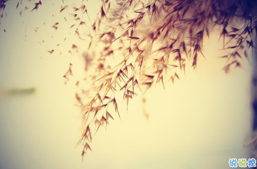 從來(lái)沒(méi)為自己活過(guò)是什么感受 表示很心累的心酸句子2