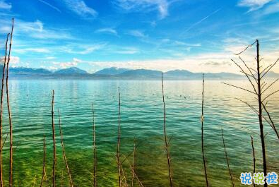 不是每件事都注定會成功，但是每件事都值得一試12