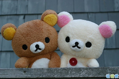 為明天而努力的勵志說說致自己 有關(guān)于積極奮斗的勵志說說共勉14