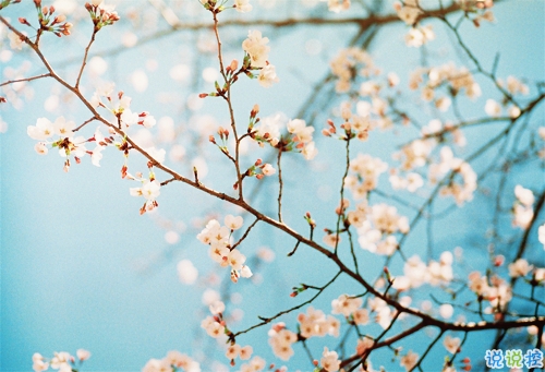 迎接2019的說說滿滿正能量帶圖片 與2018說再見用雙手去擁抱201915