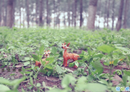 分手后的唯美傷感說說帶圖片 適合的男生的傷感說說簡單點(diǎn)的6