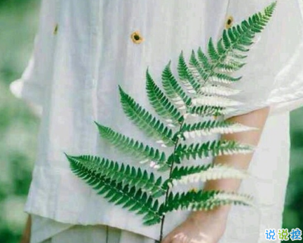 有詩(shī)意的唯美帶圖片的說說精選 一段話帶唯美的說說不期待不將就11