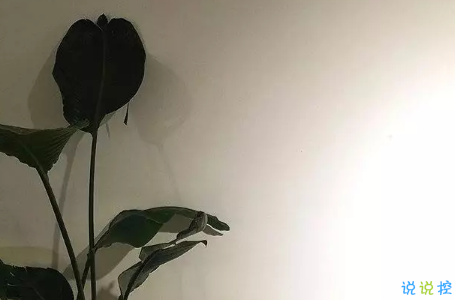 2018傷感說說讓人流淚的說說及配圖 說說配圖傷感流淚送給悲傷的自己6