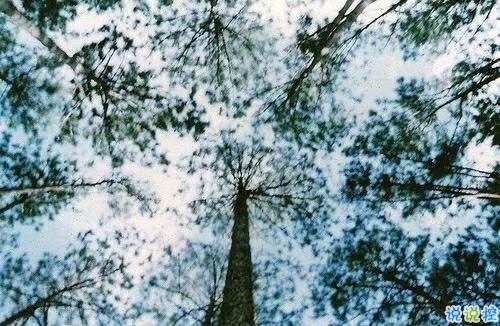 2018關(guān)于夢(mèng)想的哲理句子 2018正能量奮斗的句子2