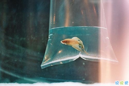 長大了才會(huì)懂得的道理說說 幾年前你不懂現(xiàn)在懂得的道理大全1