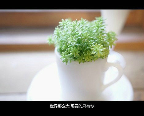 超傷感難過悲傷的愛情說說 你是我枯水年紀(jì)里的一場(chǎng)雨8