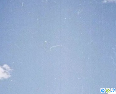 2019火爆的搞笑說(shuō)說(shuō)大全逗比專屬 笑得直不起腰的一些句子2