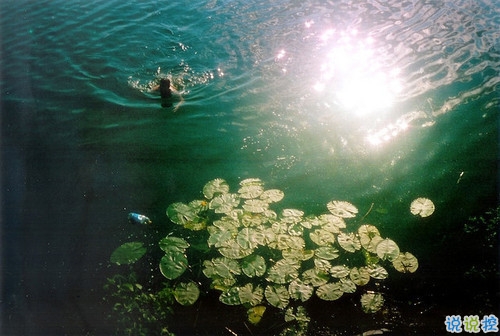 很經(jīng)典的個性說說大全關(guān)于夢想和人生 2018精辟的一句話內(nèi)涵個性說說2