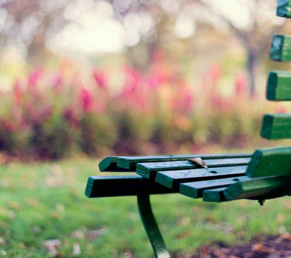 超唯美的經(jīng)典人生感悟說說帶圖片 都說人生如戲12