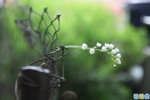 對(duì)愛一往情深的經(jīng)典說說帶圖片 文藝愛情小短句表達(dá)愛意5