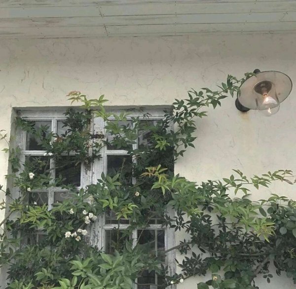 關(guān)于人生和夢(mèng)想的很現(xiàn)實(shí)的經(jīng)典哲理說(shuō)說(shuō)帶圖片13