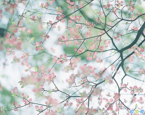 早安周末寫給周末上午的勵志經(jīng)典說說配圖 很勵志經(jīng)典的早安心語語錄201810