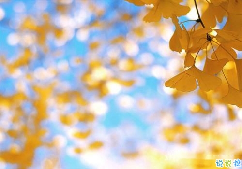 2019微信朋友圈經(jīng)典語(yǔ)錄 值得收藏和轉(zhuǎn)發(fā)的經(jīng)典說說1