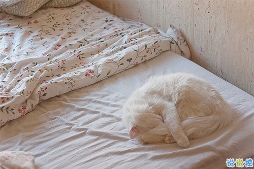 qq個(gè)性說(shuō)說(shuō)大全好聽(tīng)的 獨(dú)一無(wú)二的個(gè)性說(shuō)說(shuō)2019最新1