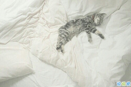 成長青春治愈系句子帶圖片 很暖心的治愈系說說簡短一句話4