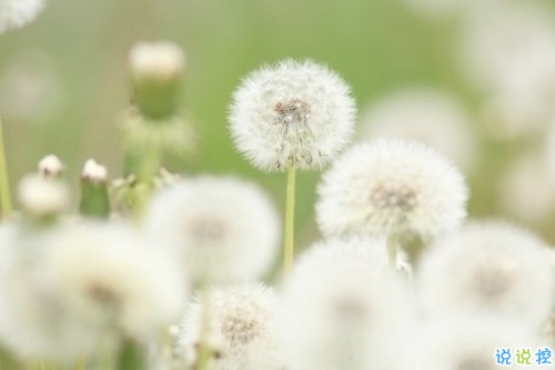 關于現實的人生感悟帶圖片 27條值得收藏和學習的經典說說大全12