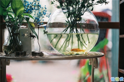 14條很美很好聽(tīng)的文藝唯美說(shuō)說(shuō)帶圖片 森系文藝范古風(fēng)說(shuō)說(shuō)12