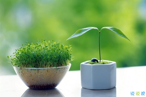 想不開難以釋懷的悲傷句子 一顆心被傷得破碎的說說2