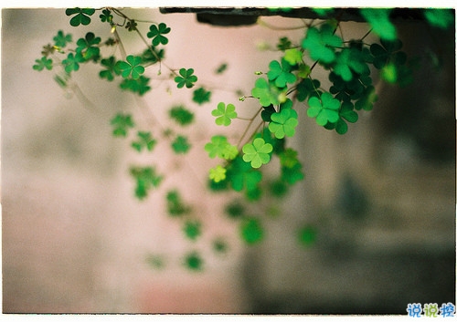 青春勵(lì)志經(jīng)典說(shuō)說(shuō)大全帶圖片 好聽(tīng)又特別有哲理的一些話5