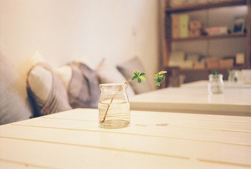 浪漫甜蜜唯美的愛情小句子帶圖片 世間萬物皆不如你眉眼動人2