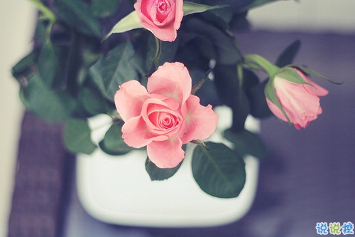 內(nèi)心煎熬的傷感說(shuō)說(shuō)帶圖片 始終無(wú)法忘記他的虐心說(shuō)說(shuō)13