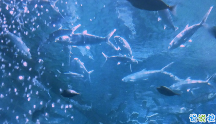 抖音比水還干凈的句子帶圖片精選14條 簡(jiǎn)單又干凈的唯美說(shuō)說(shuō)配圖12