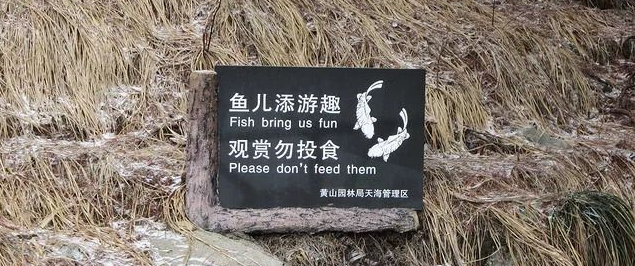 超搞笑的英語(yǔ)翻譯/中式翻譯說(shuō)說(shuō)帶圖片6