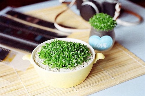 關(guān)于愛情的一些文藝清新小句子帶圖片 認(rèn)識你是我今年最大的收獲。12