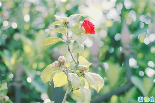 2019朋友圈個性說說必點贊的 非常吸引人的微信說說獨一無二5