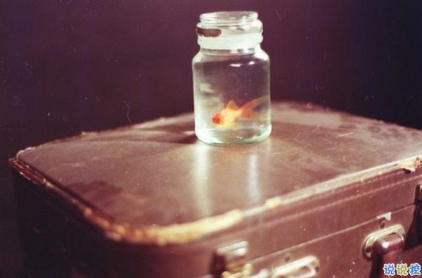 文字控喜歡的簡(jiǎn)單唯美的一句話(huà)說(shuō)說(shuō)帶圖片 煙塵滾滾一路行來(lái)我應(yīng)是迷了路了4